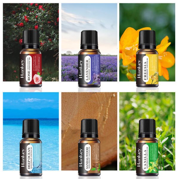 HUILE ESSENTIELLE POUR HUMIDIFICATEUR DIFFUSEUR (pack de 6)