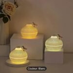 HUMIDIFICATEUR,DIFFUSEUR DE SENTEUR en forme d'oignon