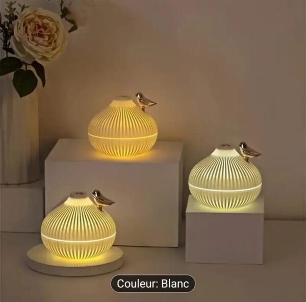 HUMIDIFICATEUR,DIFFUSEUR DE SENTEUR en forme d'oignon