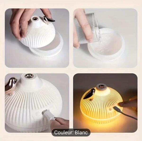 HUMIDIFICATEUR,DIFFUSEUR DE SENTEUR en forme d'oignon